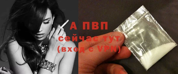 молекула духа Карпинск