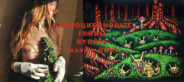 молекула духа Карпинск