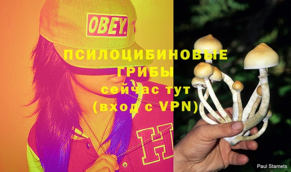 прущая мука Карталы