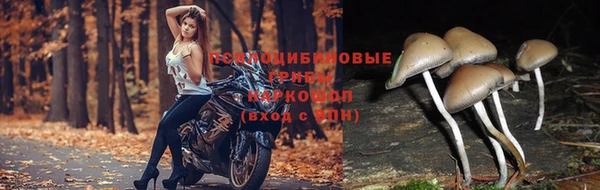 прущая мука Карталы